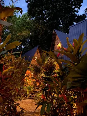 a view of a house from the garden at night at Buena Onda Bungalows in Santa Teresa Beach
