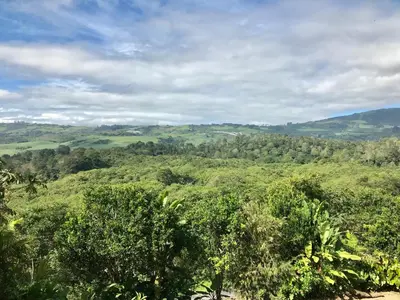 a view of a lush green valley with trees at Ladera Hotel in Turrialba