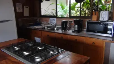 a kitchen with a stove and a sink and a microwave at Spanish by the River - Turrialba in Turrialba