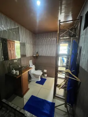 a bathroom with a toilet and a ladder in it at Frías Home in Tortuguero