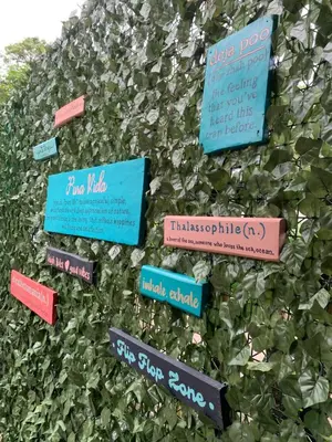 a bunch of different signs in a plant at Point Break Santa Teresa in Santa Teresa Beach