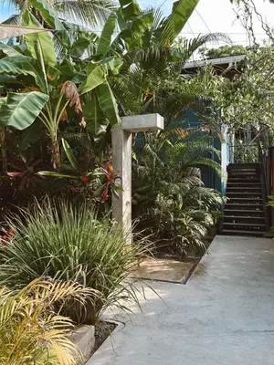 a garden with plants and stairs in the background at Point Break Santa Teresa in Santa Teresa Beach