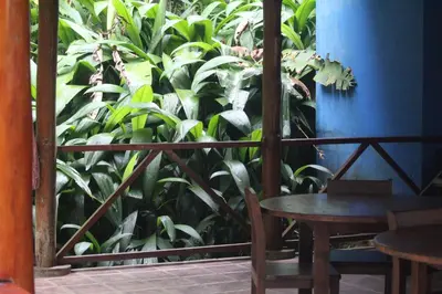 a balcony with a table and a bunch of plants at Iguana Libre in Dominical