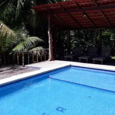 Iguana Libre