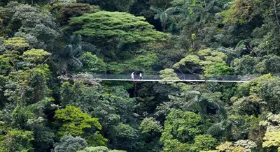 two people on a suspension bridge in the forest at Casona Rústica & Bungalow in Fortuna