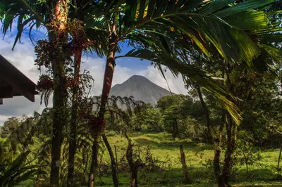 a mountain in the distance with palm trees in the foreground at Confort Arenal in Fortuna