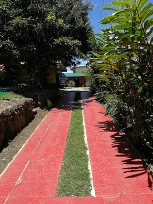 a red pathway with a red carpet on it at Casa Irazú in Cartago