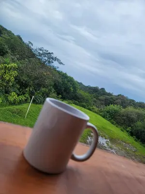 a white coffee cup sitting on a window sill at Cabinas Selva Verde in Monteverde Costa Rica