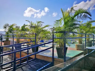 a balcony with palm trees and a blue railing at Hotel Casa 69 in San José