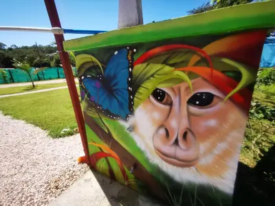 a painting of a monkey with a butterfly at Tuki Tuki Lodge in Sámara