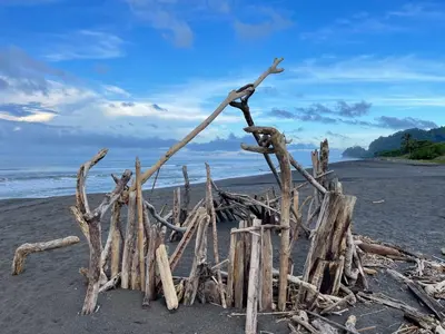 a pile of drift wood on a beach at Las Brisas Resort and Villas in Jacó