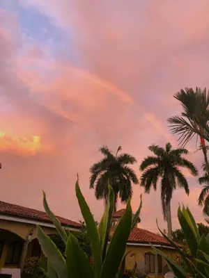 a rainbow in the sky over palm trees at Las Brisas Resort and Villas in Jacó