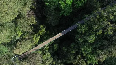 an overhead view of a bridge over a forest at Rio Perdido Hotel & Thermal River in Fortuna