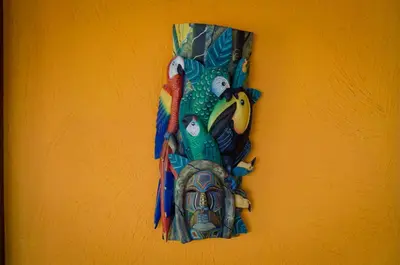 a group of parrots on a bag on a wall at Hotel Vista de Olas in Santa Teresa Beach