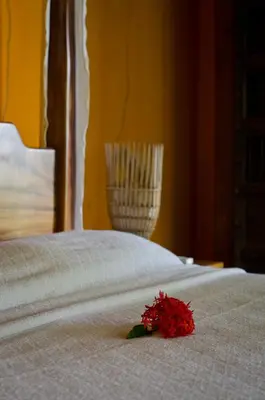 a red flower sitting on top of a bed at Hotel Vista de Olas in Santa Teresa Beach