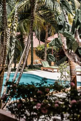 a swimming pool with a bench and palm trees at Hotel Ritmo Tropical - Pool and Breakfast in Santa Teresa Beach