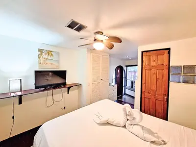 a bedroom with a bed and a ceiling fan and a television at Colours Oasis Resort ADULT ONLY in San José