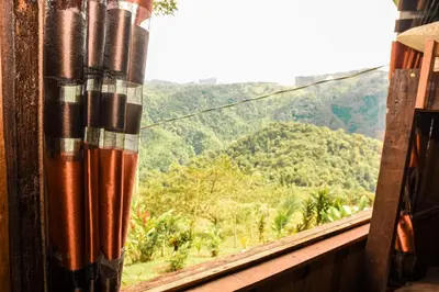 a window view of a mountain view from a train at Pacuare Mountain Lodge in Tres Equis