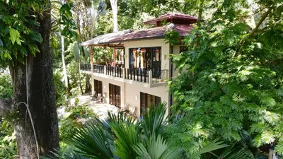 a house in the middle of a forest at Villas by Tekoa in Uvita