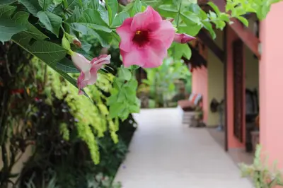 a pink flower is hanging from a building at Hotel Arte Natura in Fortuna