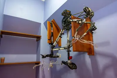 a robot is hanging on a wall at Hotel Arte Natura in Fortuna
