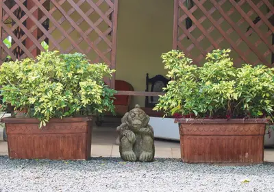 a statue sitting in between two potted plants at Hotel Arte Natura in Fortuna