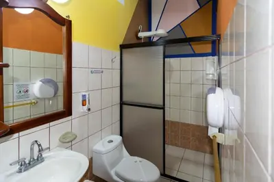a bathroom with a shower and a toilet and a sink at Hotel Arte Natura in Fortuna