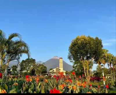 a field of flowers with a mountain in the background at La Estancia Ideal Apartamentos in Fortuna