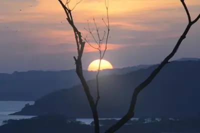 two trees with the sunset in the background at La Ceiba Tree Lodge in Tilarán