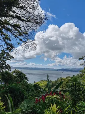a view of the ocean from a garden at La Ceiba Tree Lodge in Tilarán