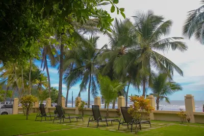 a row of chairs and palm trees on a lawn at Apartotel Girasol in Jacó