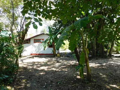a banana tree in front of a white building at Villasjungle 1 in Sámara