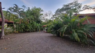 a dirt road with palm trees and a building at Villasjungle 1 in Sámara