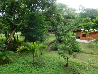 a house in the middle of a yard with trees at Villasjungle 2 in Sámara