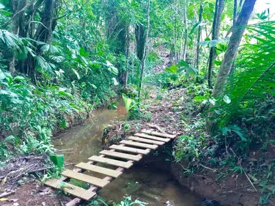 a wooden bridge over a stream in the jungle at El Pulpo Safari Lodge in Ojochal
