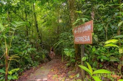 a sign in the middle of a trail in the jungle at Ávita Lodge in Quesada