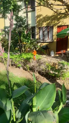 a flower in the middle of a garden at La Casita de Naomi in Tamarindo