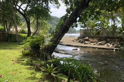 a park bench next to a river with trees at Family oriented house just steps to the beach in Jacó