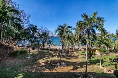 a row of palm trees on the beach at Flamingo Marina Resort 413 in Playa Flamingo