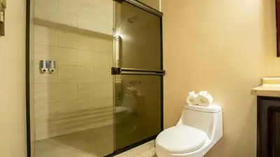 a bathroom with a toilet and a glass shower at Orquideas Boutique Hotel in Fortuna
