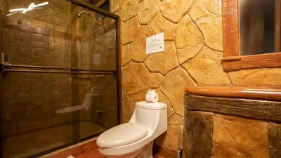 a bathroom with a toilet and a shower at Orquideas Boutique Hotel in Fortuna