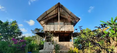 a tree house in the middle of a garden at La Muñequita Lodge 1 - culture & nature experience in Palmar Norte