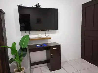 a television on a wall with a desk with a plant at Hotel Cañas in Cañas