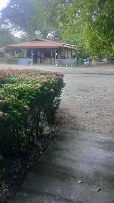 a park with a building and a bush with pink flowers at Hotel y restaurante Maktub in Nandayure