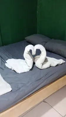 two swans making a heart on a bed at Hotel y restaurante Maktub in Nandayure