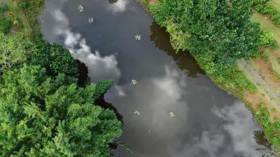 an overhead view of a river with clouds and trees at Casa Zu in San Pedro