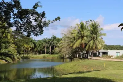 a pond in a park with palm trees and a building at Pura Vida Villa! Beachfront Golf and Country Club Los Delfines 24 hours security in Tambor