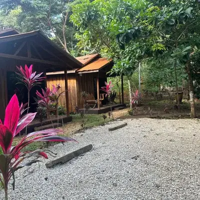 Finca Avellanas