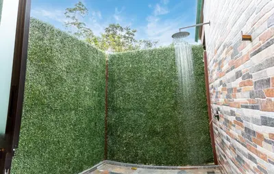 a shower built into a green wall with a shower head at Termales del Arenal in Fortuna
