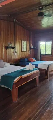 two beds in a room with wooden walls at Birds & Breakfast Costa Rica in Fortuna